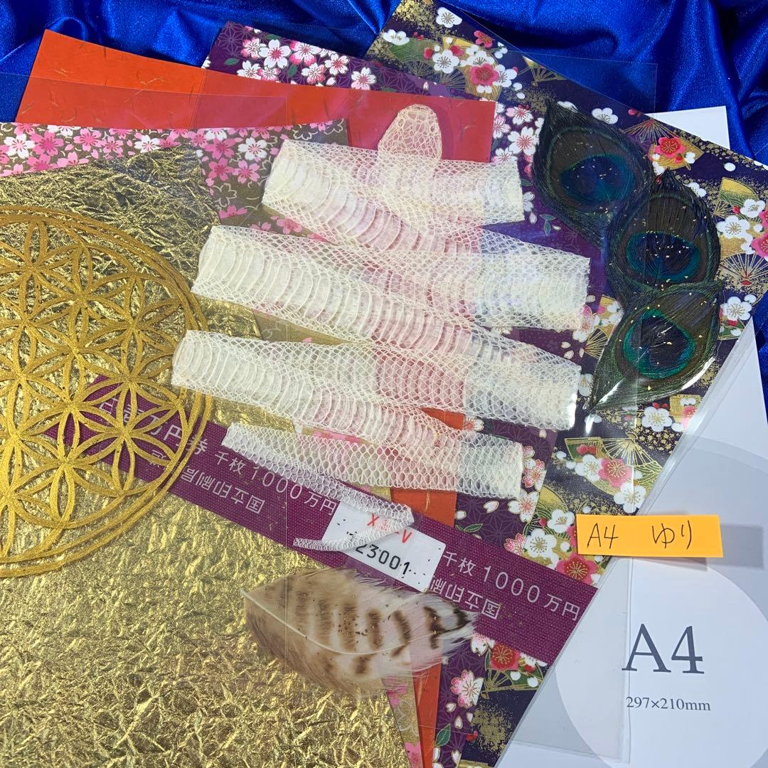 白蛇 1000万円の帯 孔雀 梟 羽 額縁 友禅 和紙 金　フラワーオブライフ