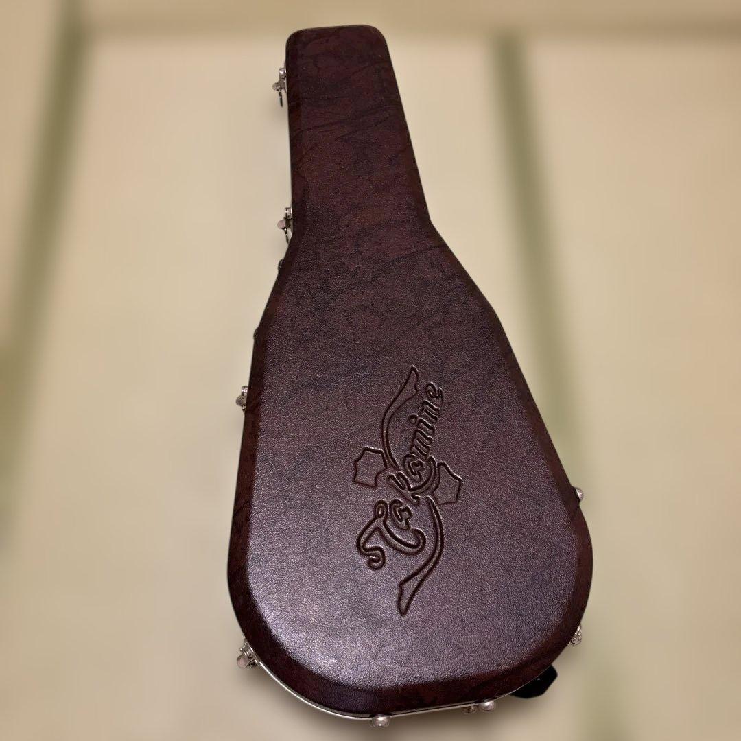 Takamine Tシリーズ アコースティックギター サンバースト