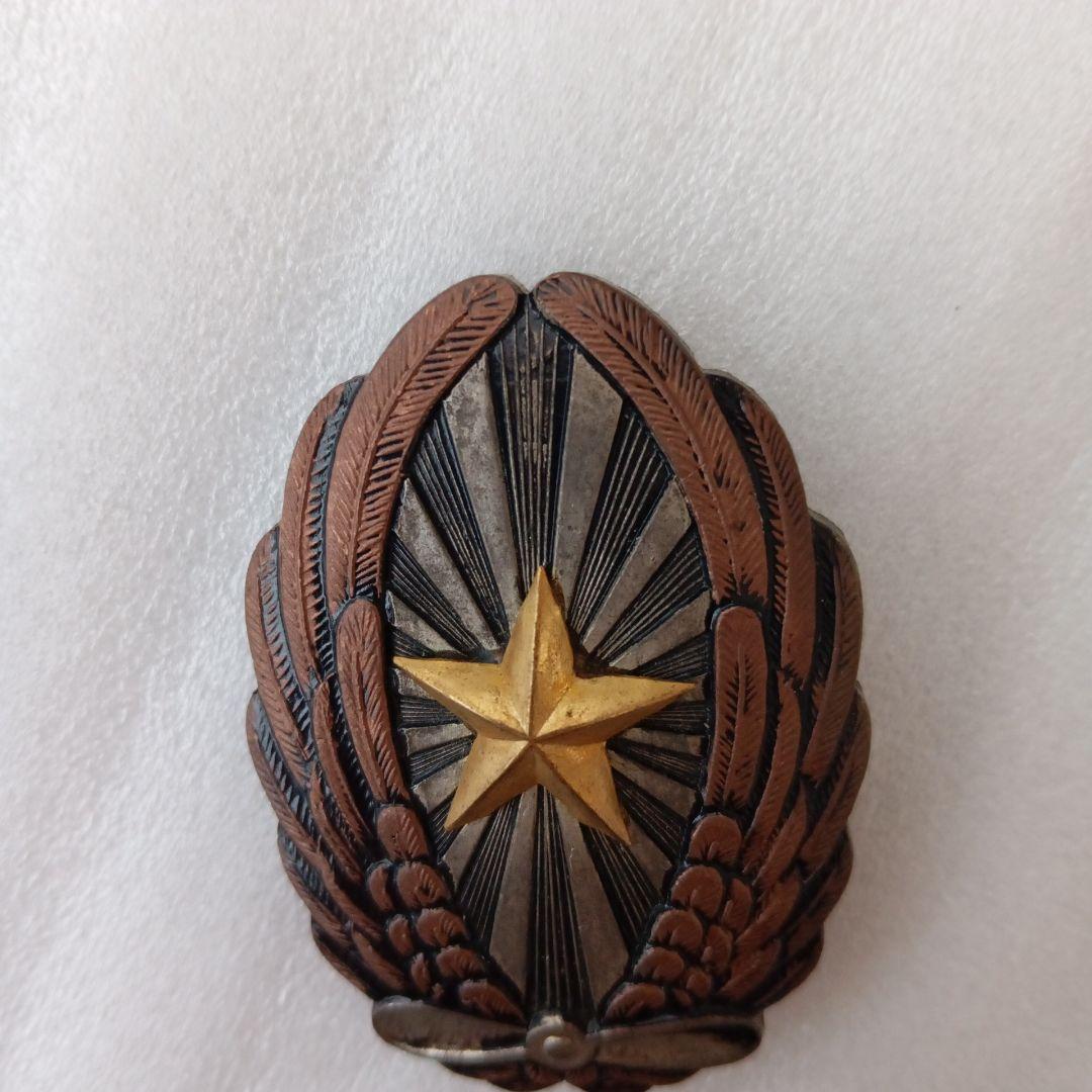 陸軍軍用機 操縦術修得徽章 ミリタリー 自衛隊 昭和レトロ