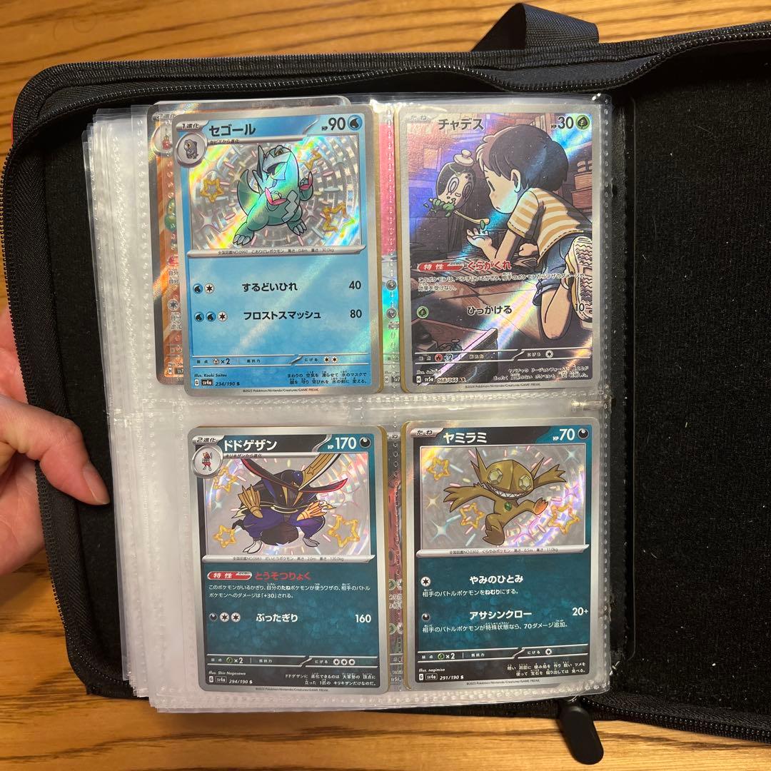 ポケモンカードコレクション　ファイル入り