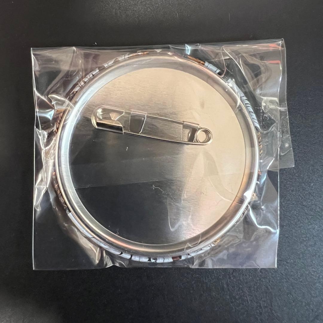 家庭教師ヒットマンREBORN リボーン 沢田綱吉 ツナ デコレクション缶バッジ