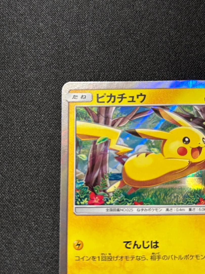 ピカチュウ [SM0 004/004](ピカチュウと新しい仲間たち)