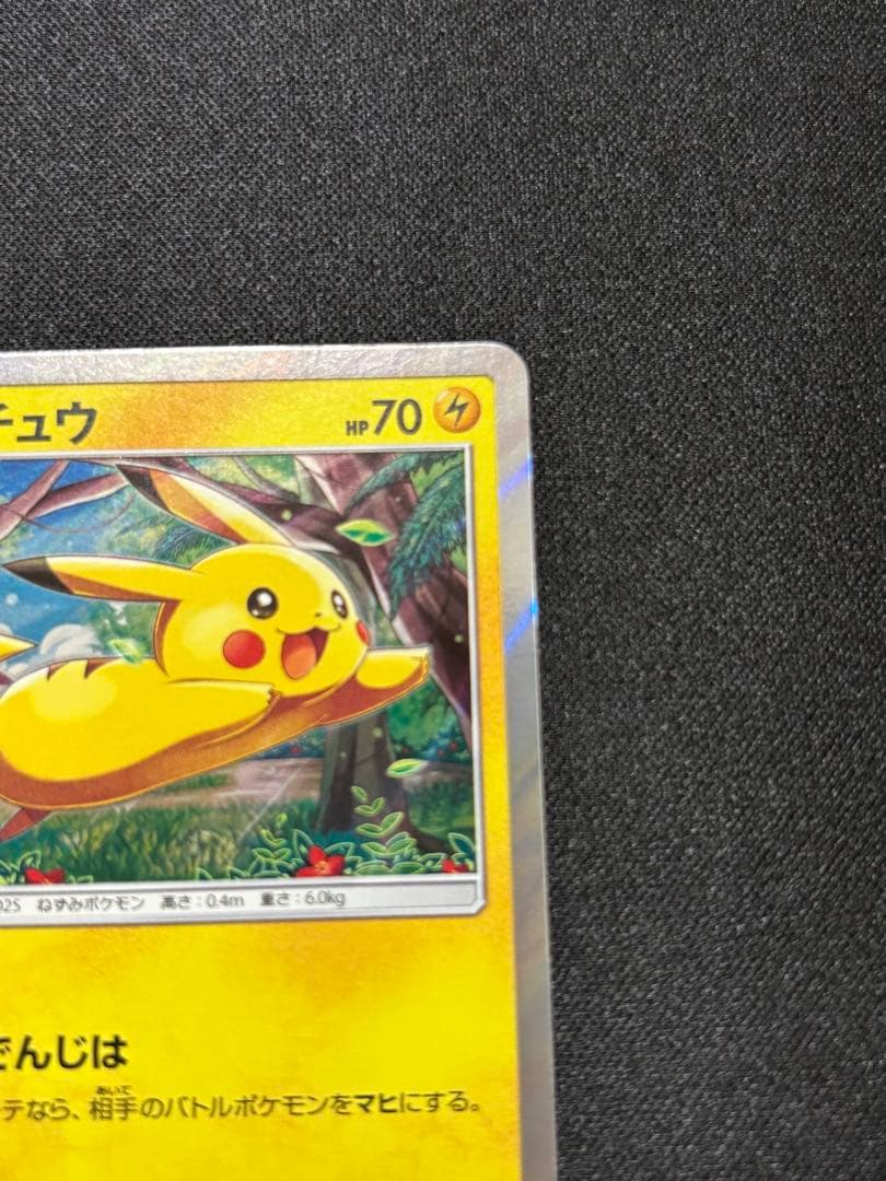 ピカチュウ [SM0 004/004](ピカチュウと新しい仲間たち)