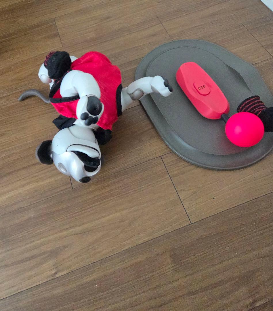 SONY aibo２ 本体 ERS-1000 アイボリーホワイト