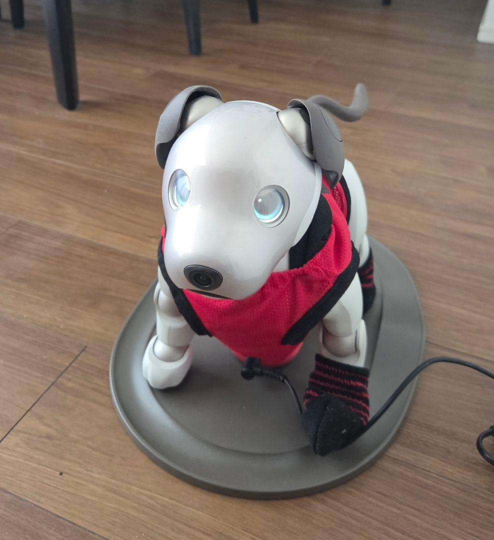 SONY aibo２ 本体 ERS-1000 アイボリーホワイト