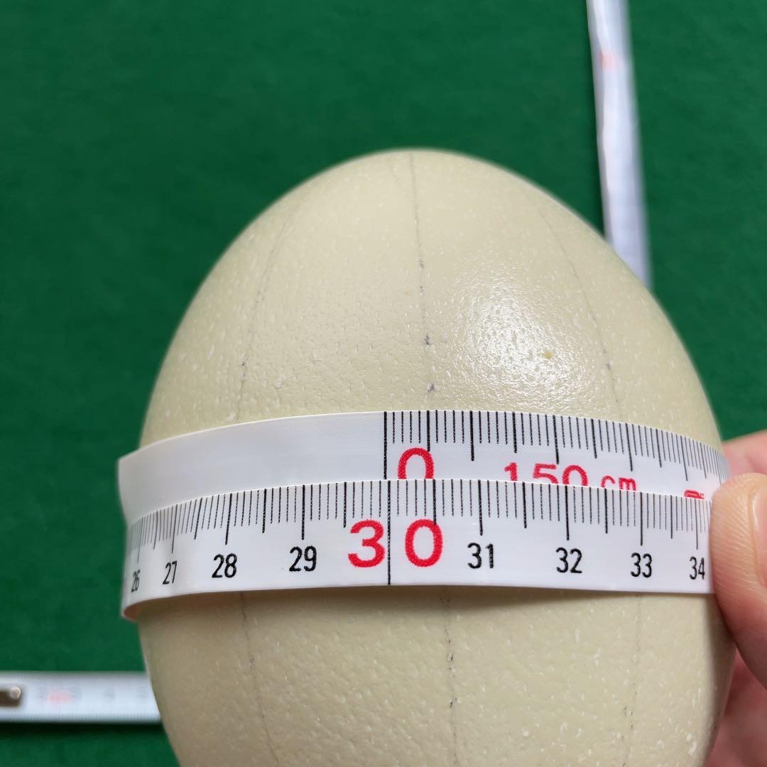 エッグアート用ダチョウの卵の殻　4個セット