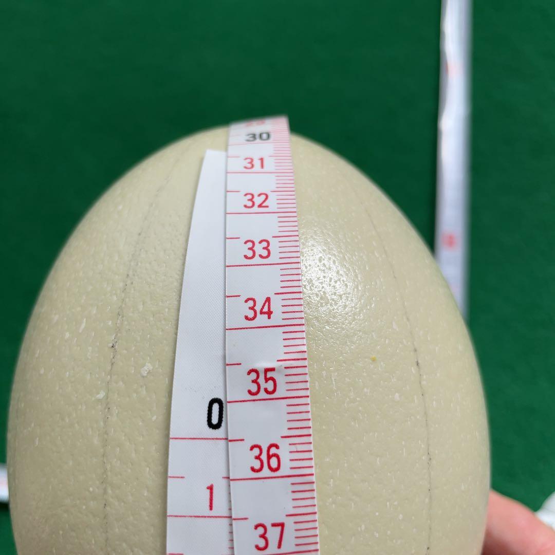 エッグアート用ダチョウの卵の殻　4個セット