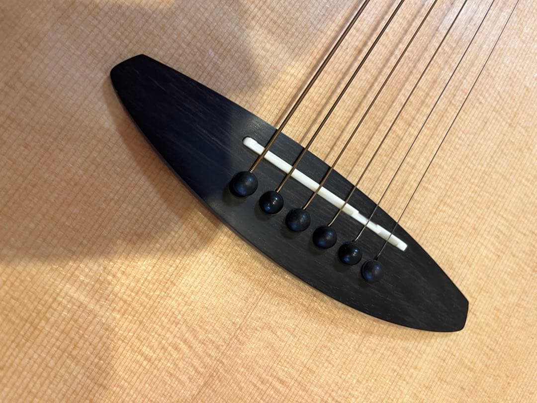 aNueNue Bird L 100 エレアコ