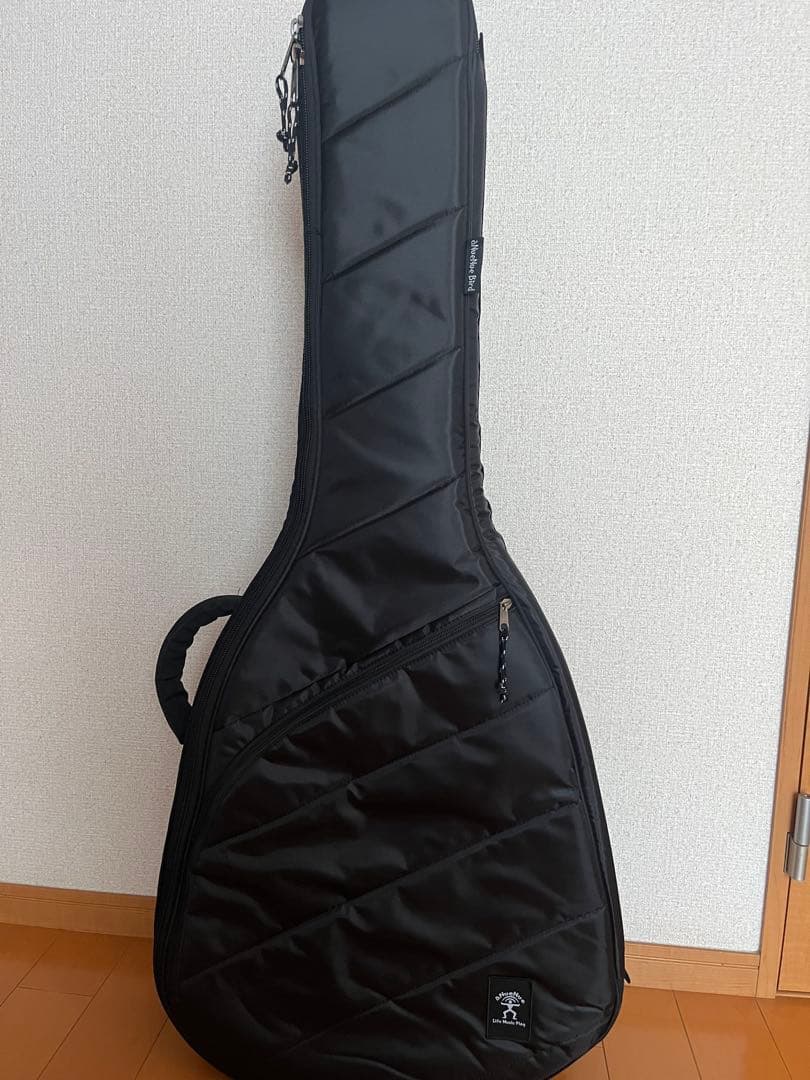 aNueNue Bird L 100 エレアコ