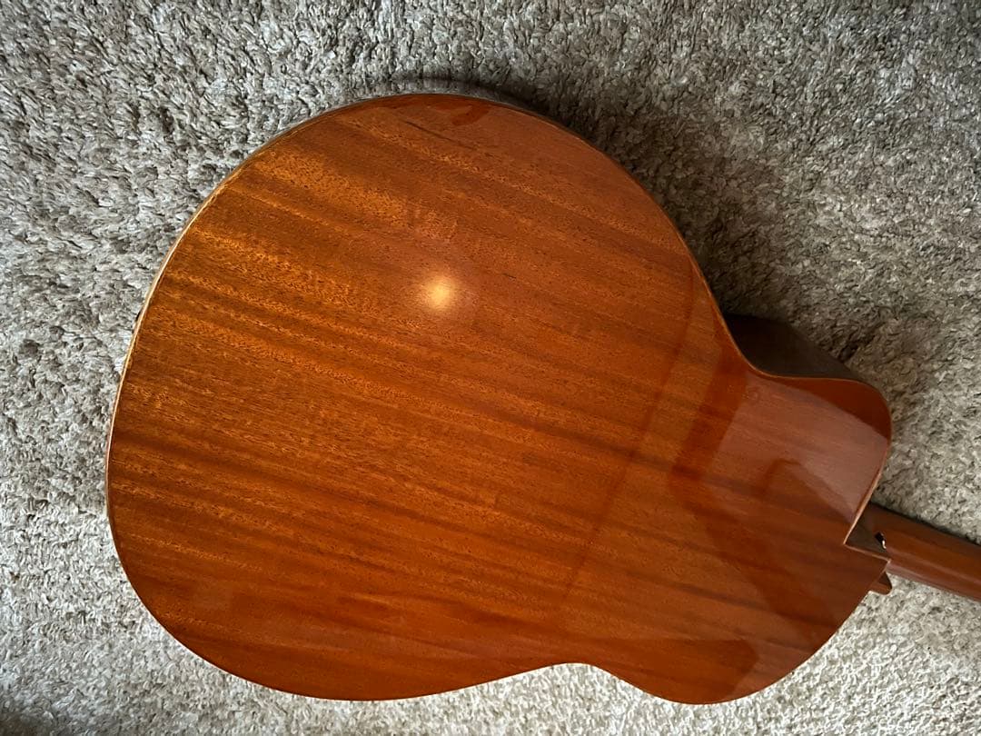 aNueNue Bird L 100 エレアコ