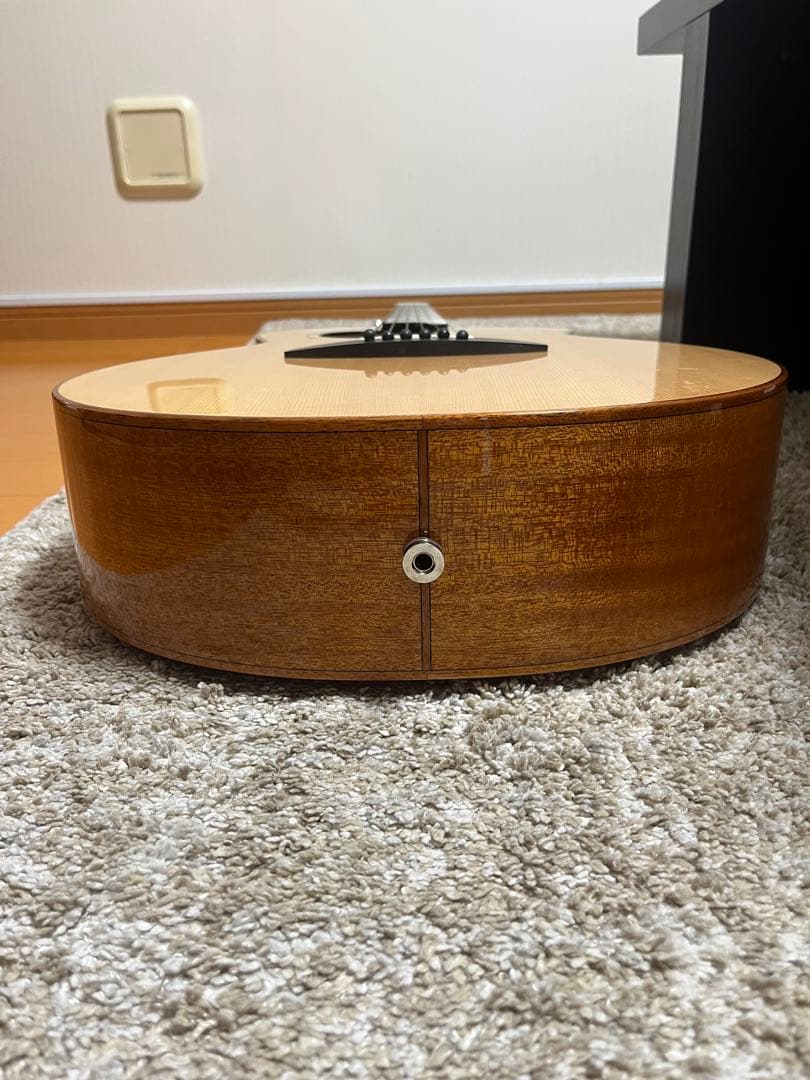 aNueNue Bird L 100 エレアコ