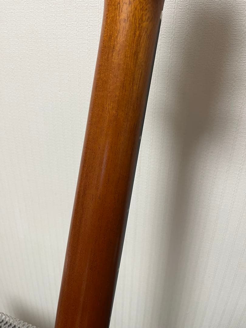 aNueNue Bird L 100 エレアコ