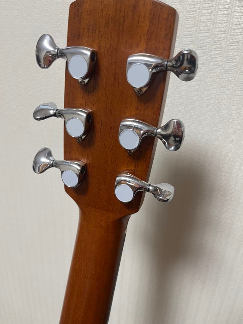 aNueNue Bird L 100 エレアコ