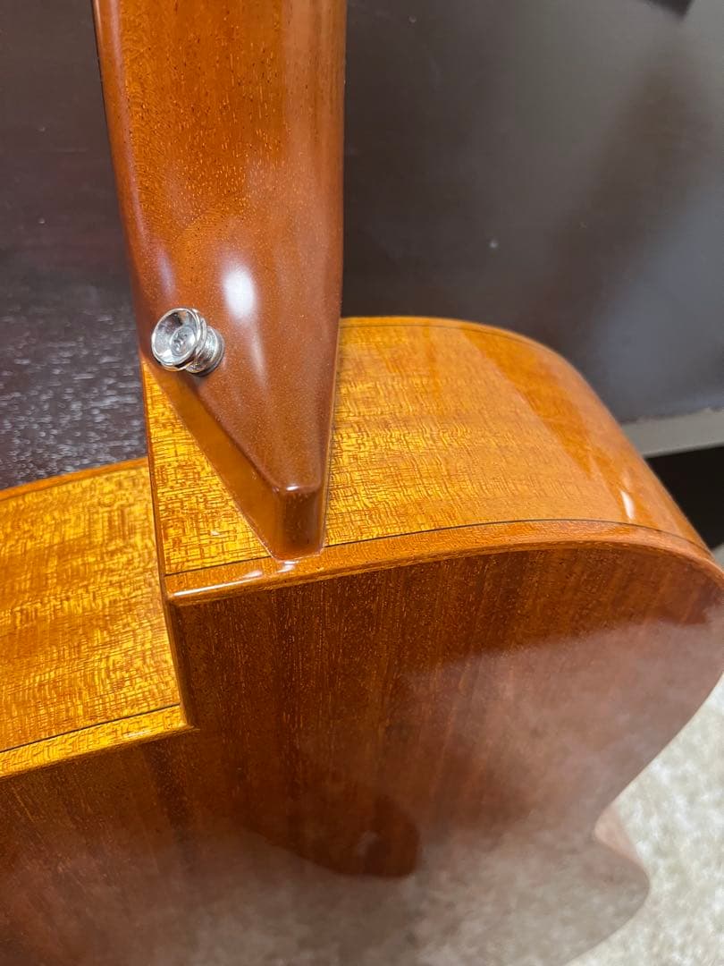 aNueNue Bird L 100 エレアコ