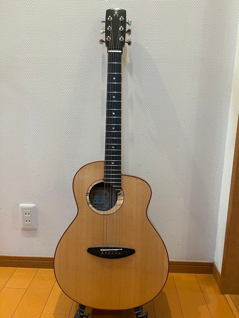 aNueNue Bird L 100 エレアコ