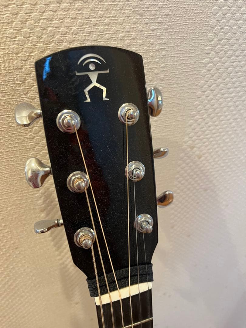 aNueNue Bird L 100 エレアコ