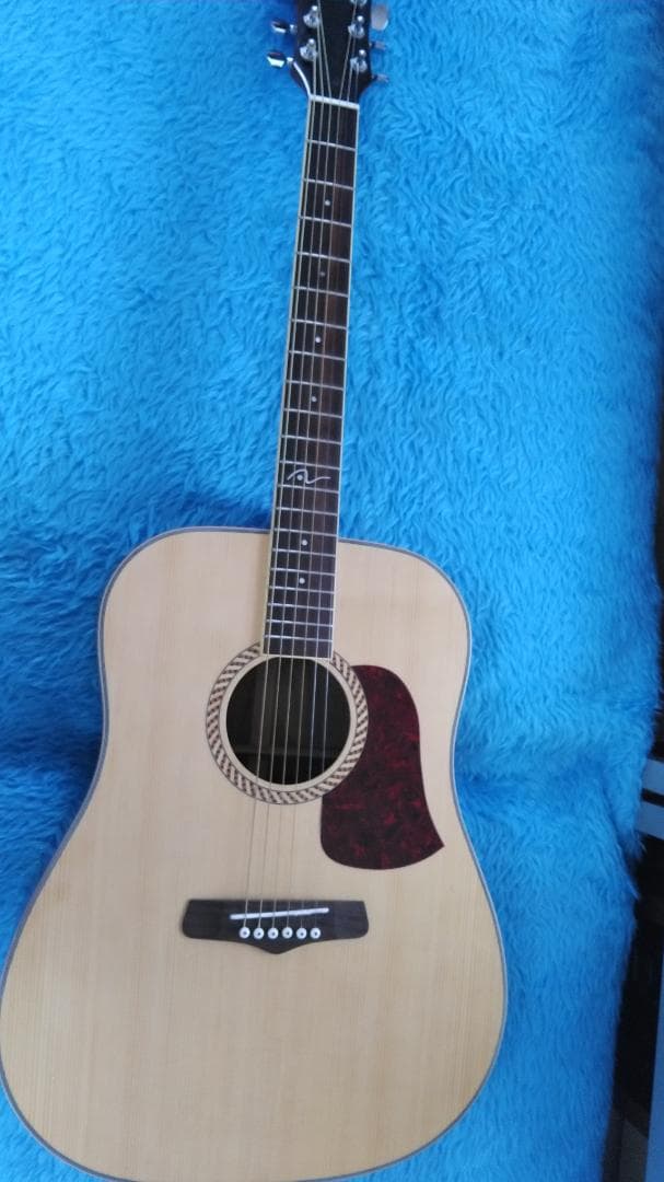 美品！　ARIA アコースティックギター　スプルース　ハードケース付き