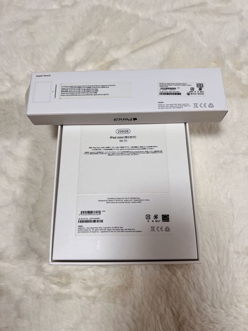 Apple iPad mini 第6世代　256GB WiFiモデル