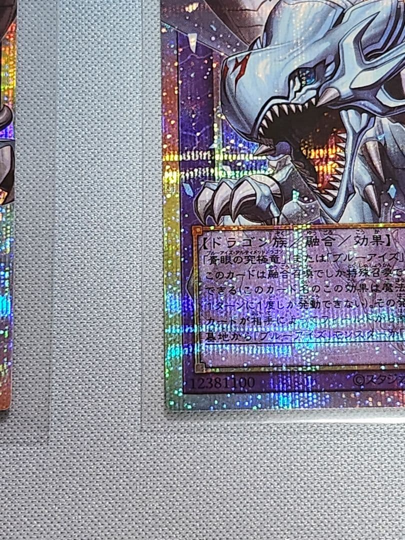 究極竜魔導師　プリシク　2枚セット