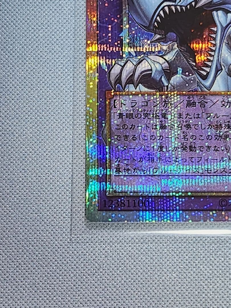 究極竜魔導師　プリシク　2枚セット