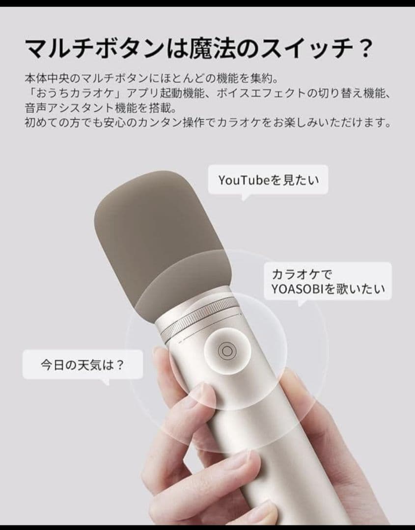 Aladdin Mic 2 マイク