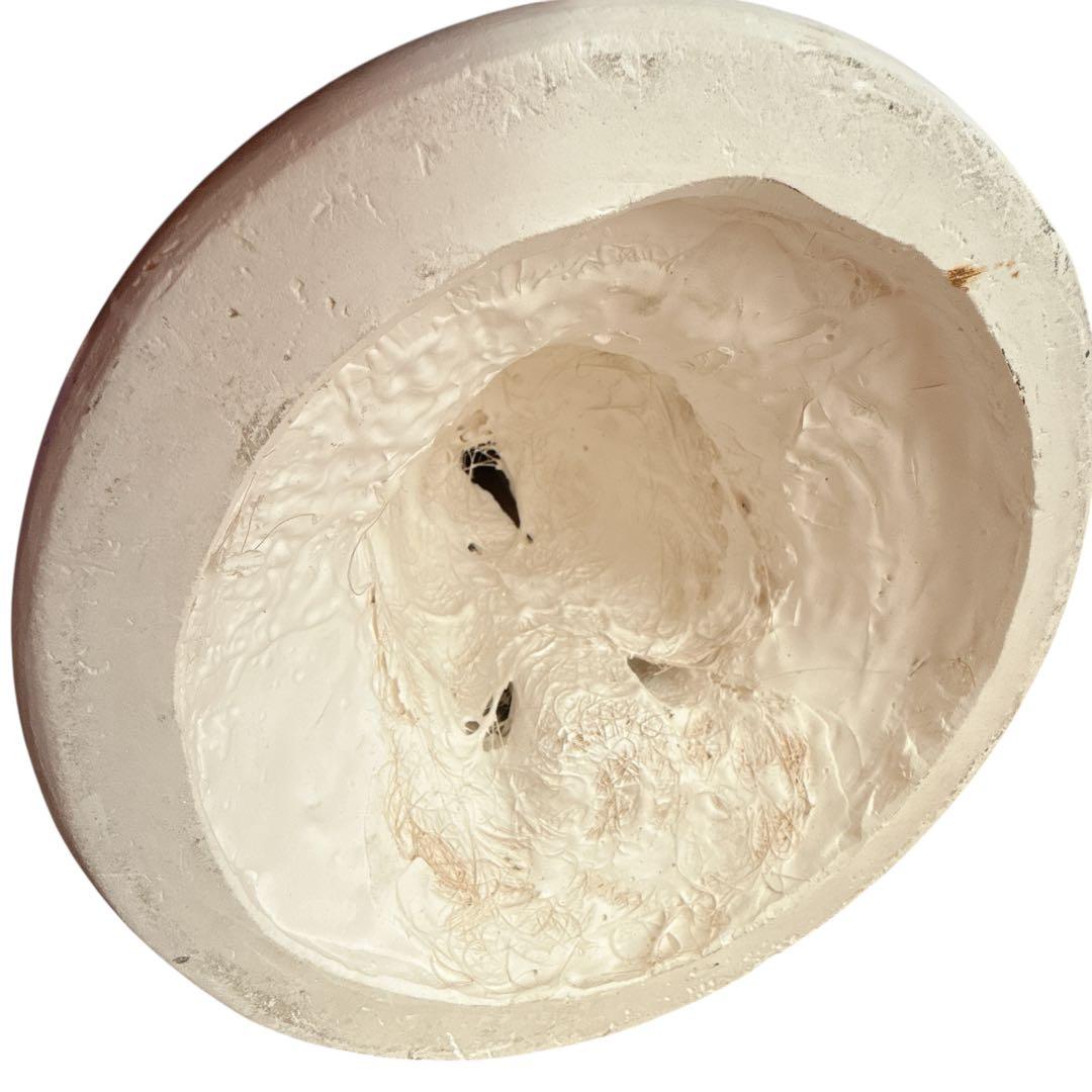 【送料無料　たのメル便】アリアス胸像　　特大　石膏像