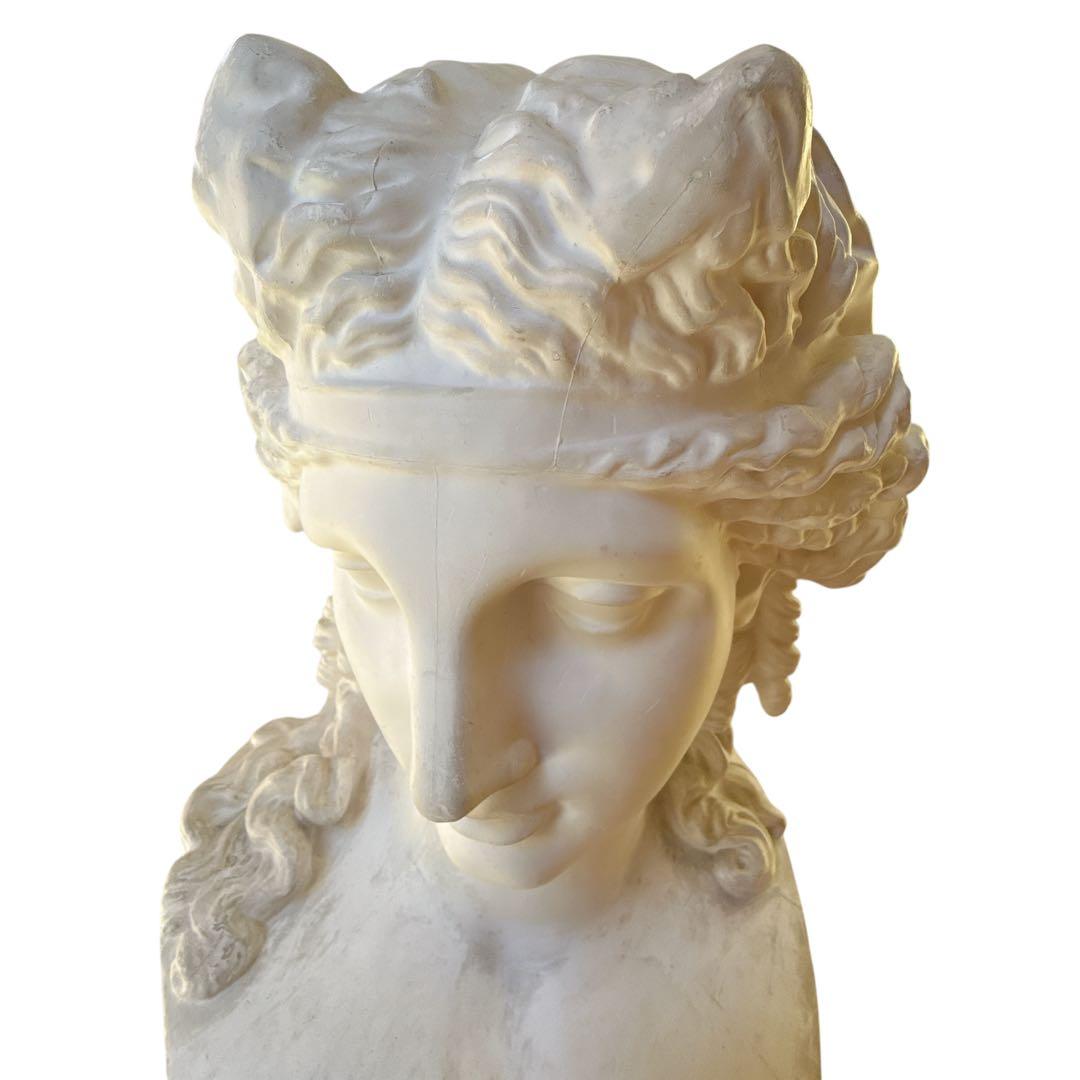 【送料無料　たのメル便】アリアス胸像　　特大　石膏像