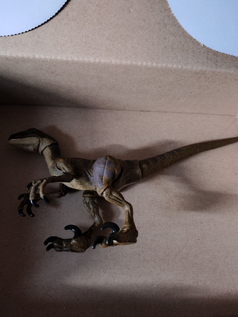 ハモンドコレクション ヴェロキラプトル