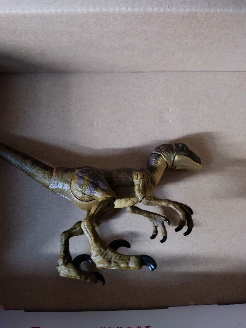 ハモンドコレクション ヴェロキラプトル