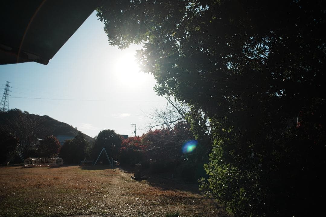 【整備＆テスト済】Nikon Af Nikkor 24mm F2.8 490