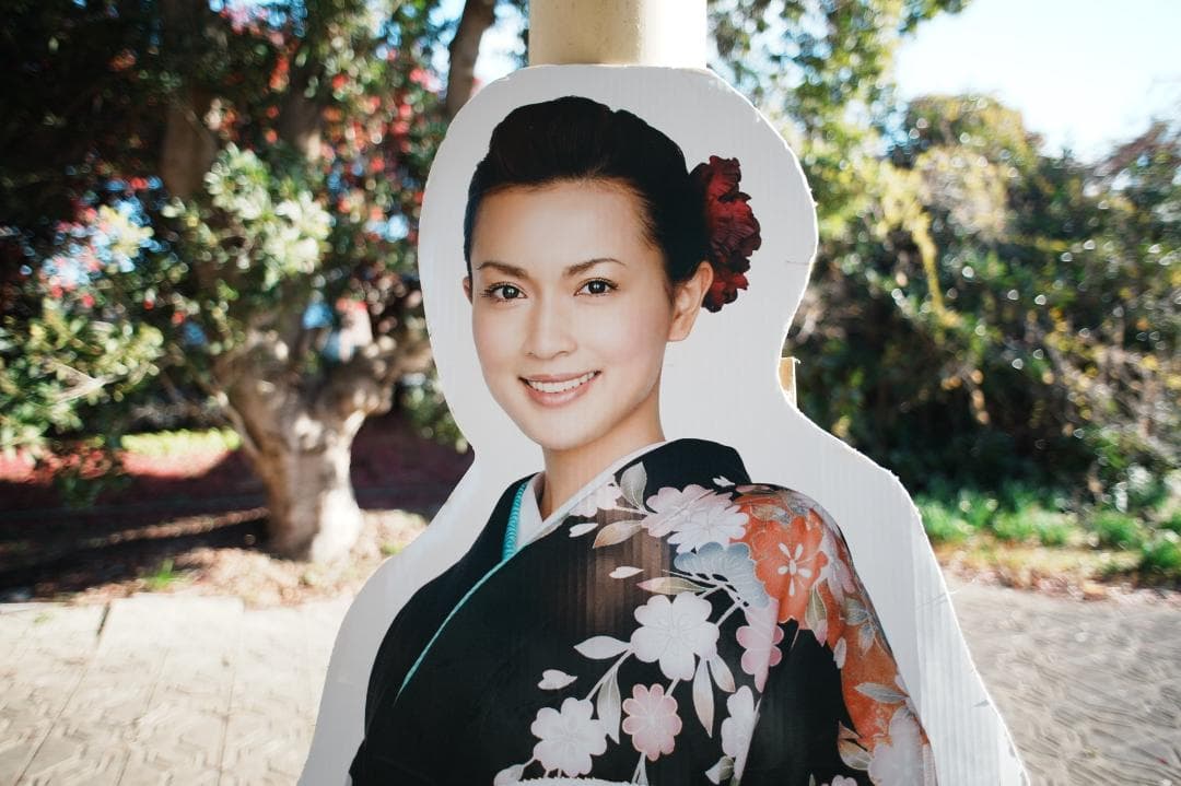 【整備＆テスト済】Nikon Af Nikkor 24mm F2.8 490