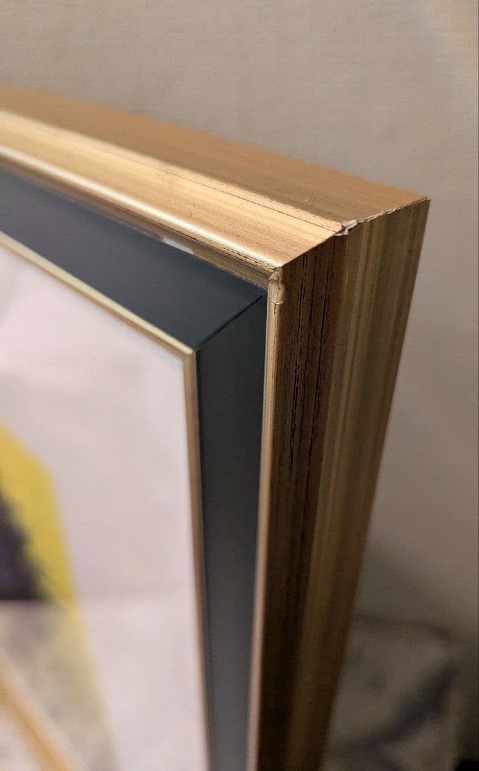 ベルナール・ビュッフェ 「すみれの花束」 オリジナルリトグラフ