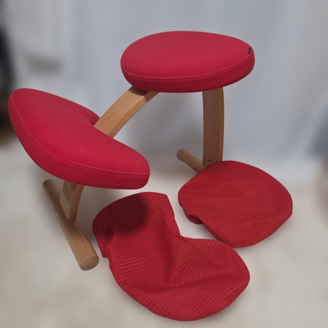 バランスチェア バランスイージー(カバー付き)