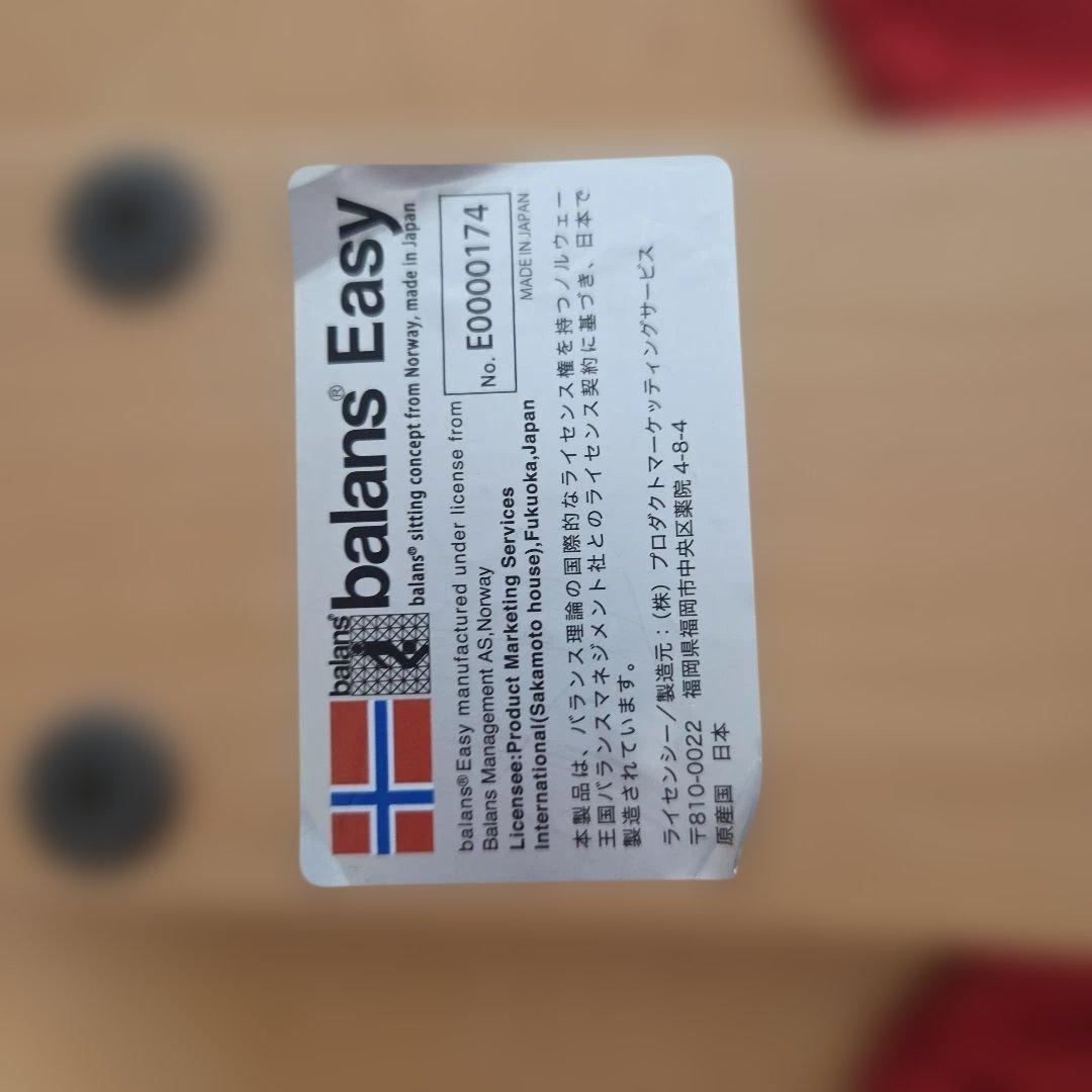 バランスチェア バランスイージー(カバー付き)