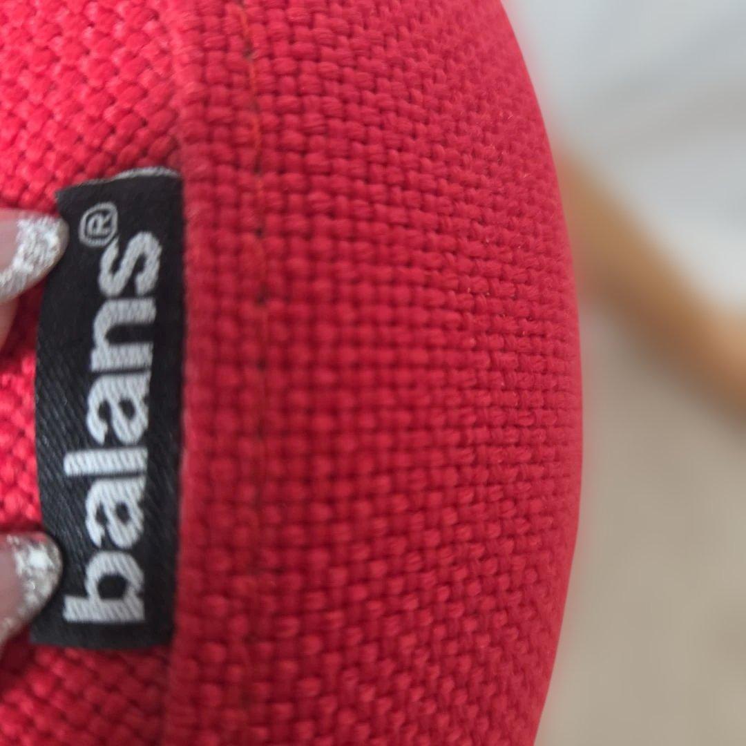 バランスチェア バランスイージー(カバー付き)