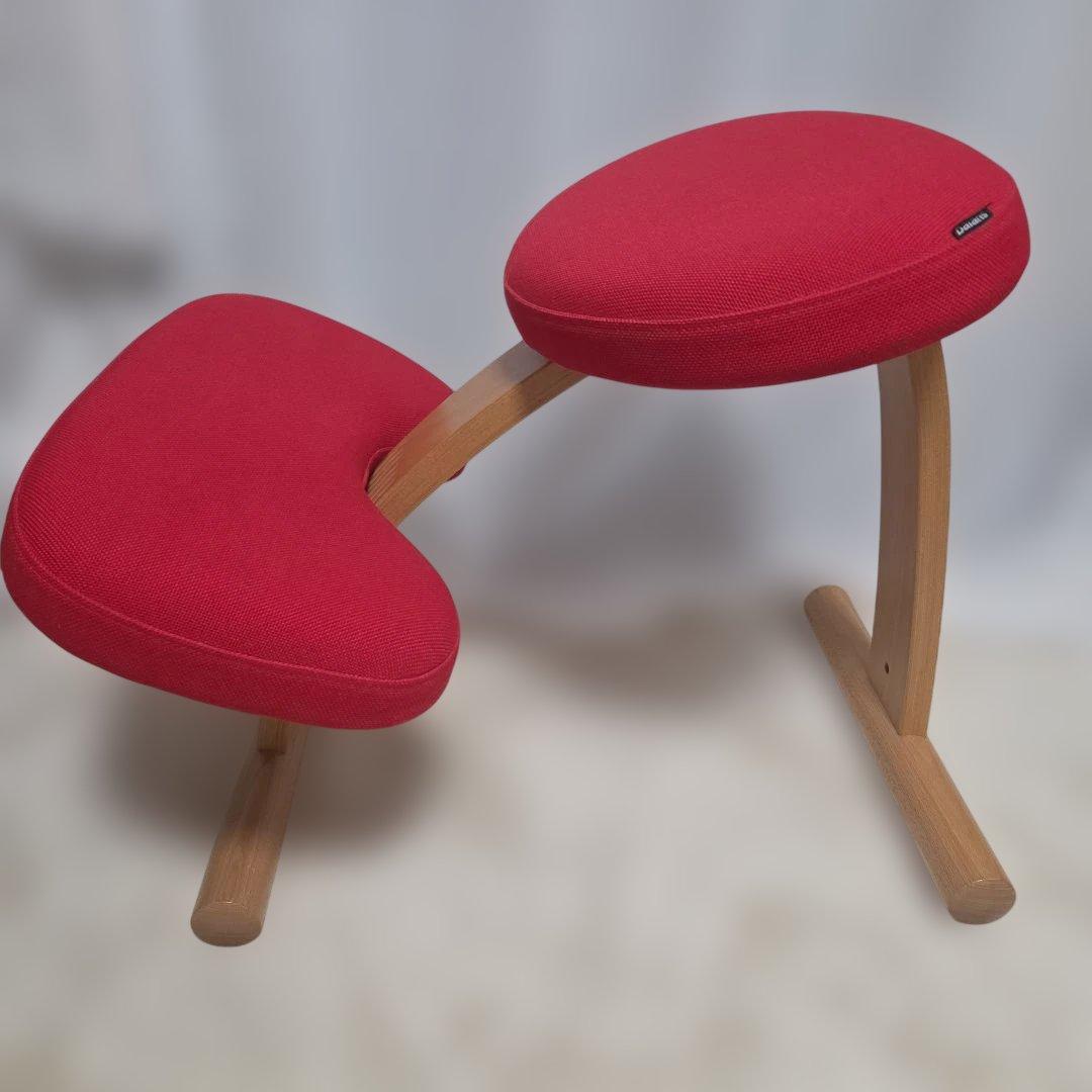 バランスチェア バランスイージー(カバー付き)