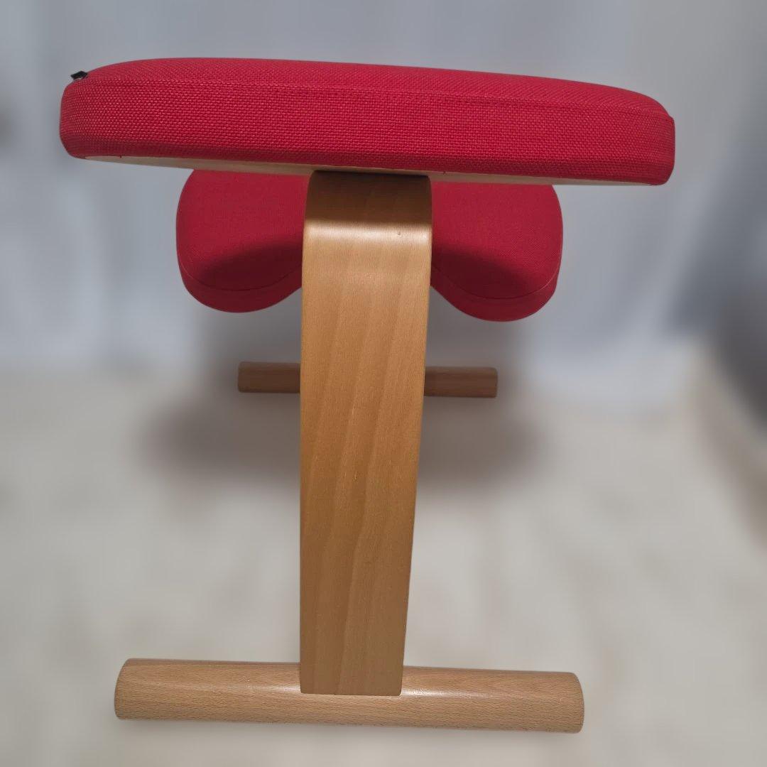 バランスチェア バランスイージー(カバー付き)