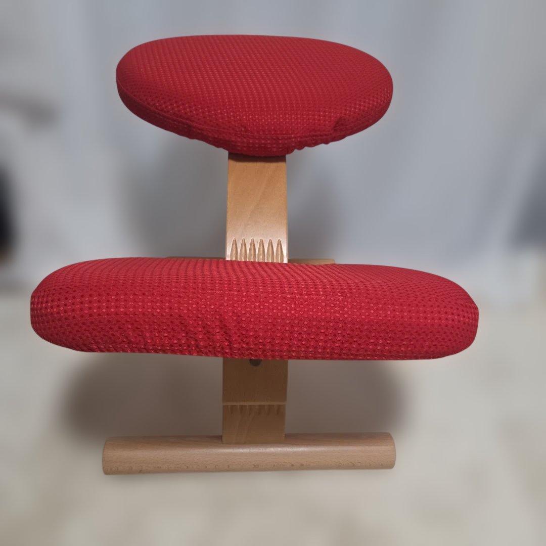 バランスチェア バランスイージー(カバー付き)