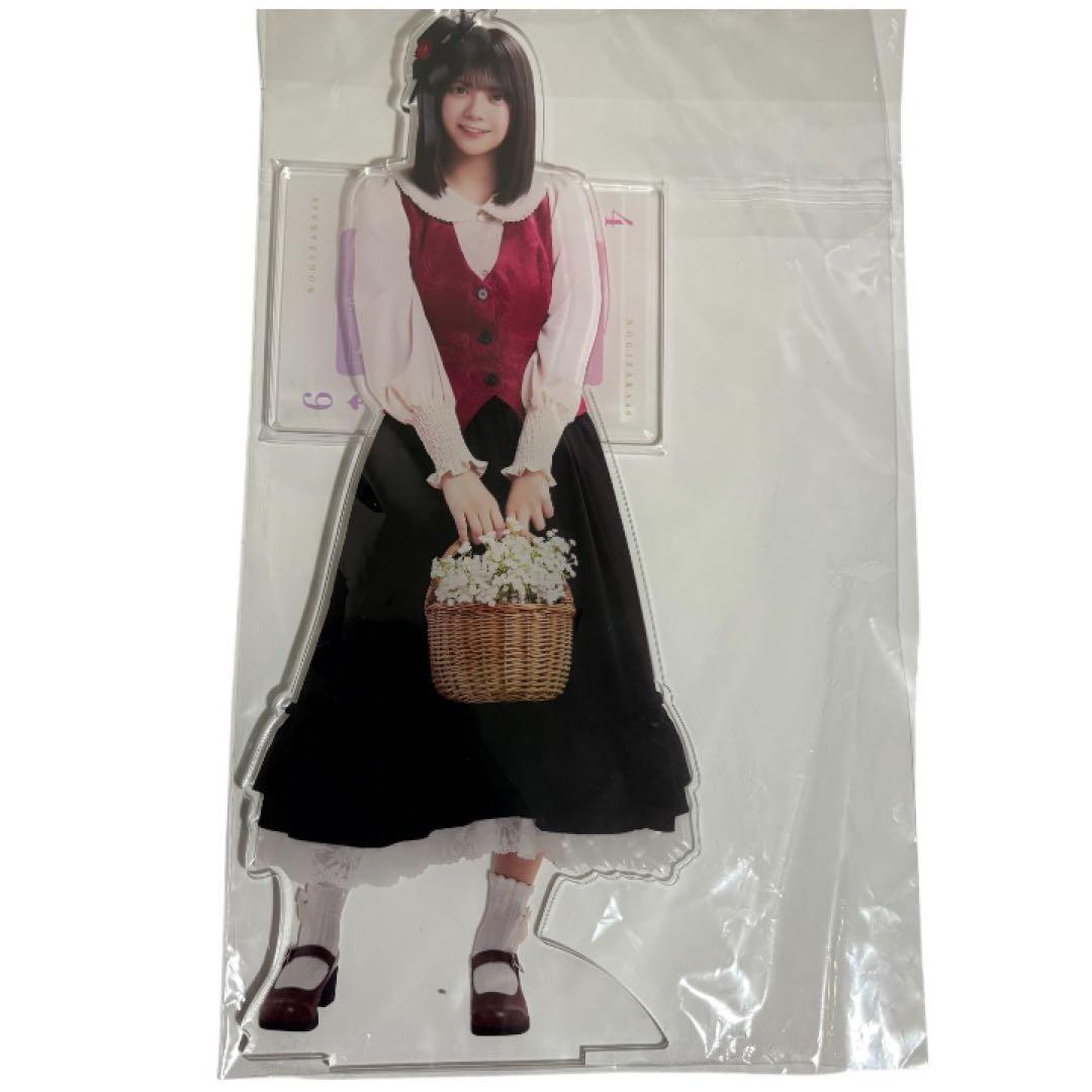 富里奈央　乃木坂46 NOGIめくり A賞 BIG アクリルスタンド モバイル