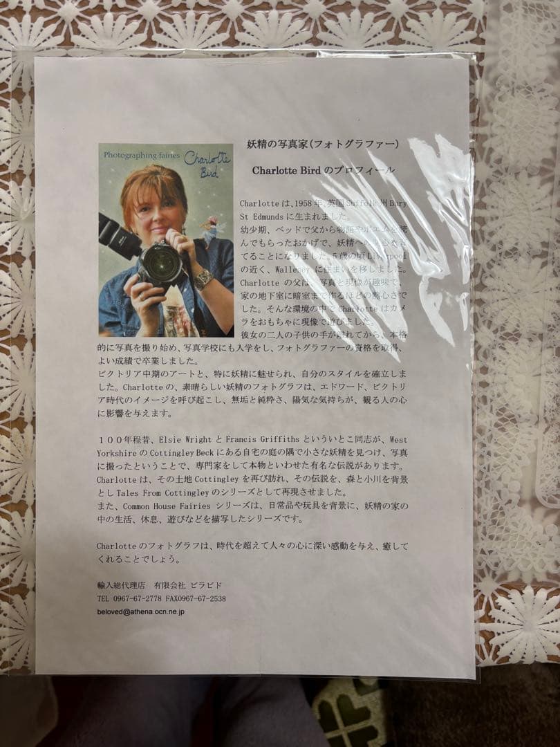 イギリスの写真家　シャルロット・バード　絵画