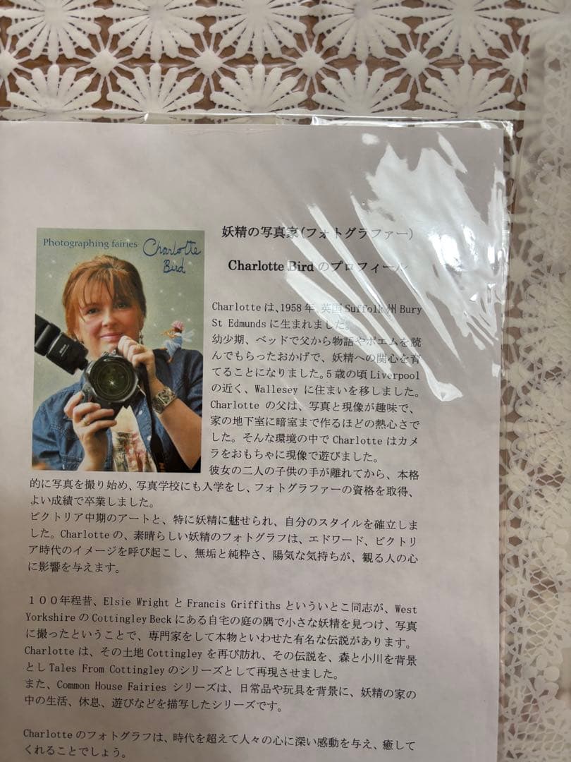 イギリスの写真家　シャルロット・バード　絵画