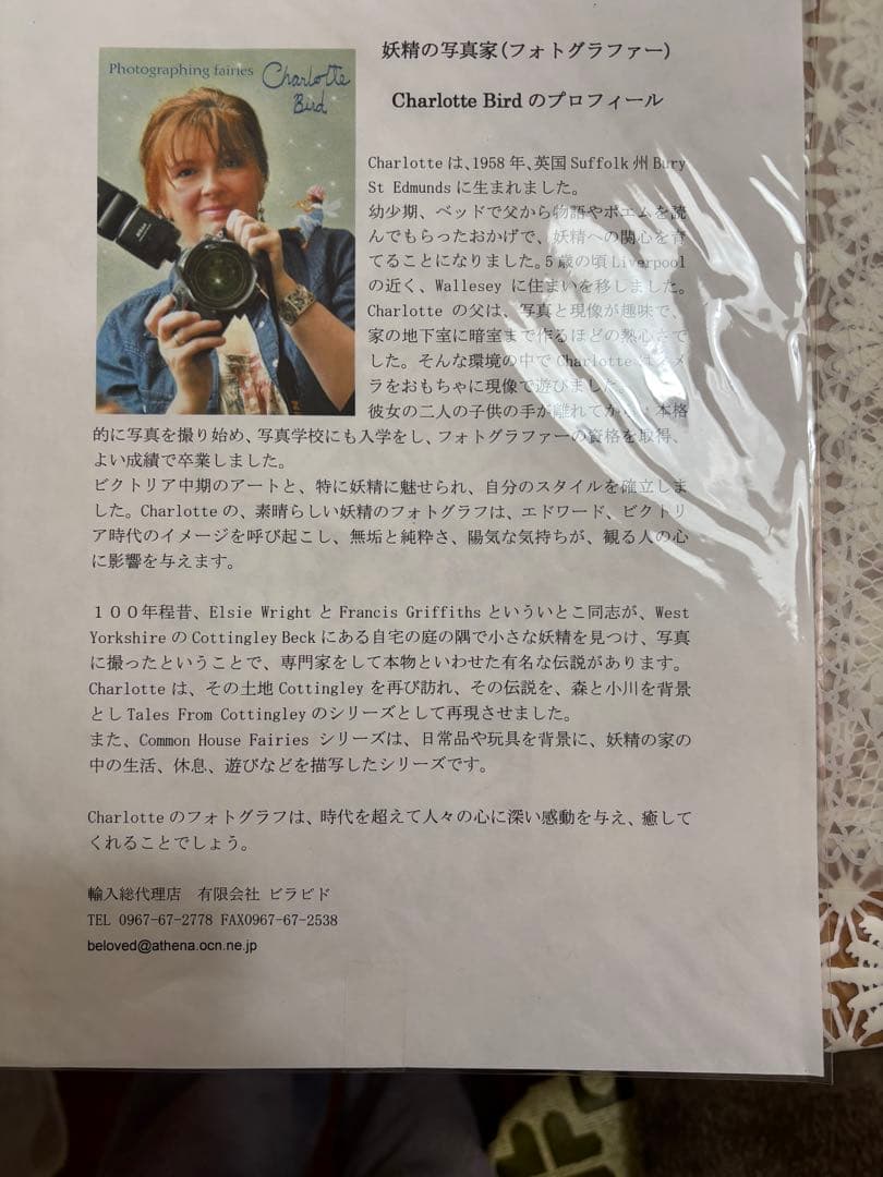 イギリスの写真家　シャルロット・バード　絵画