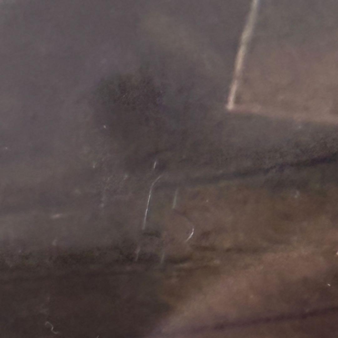 イギリスの写真家　シャルロット・バード　絵画