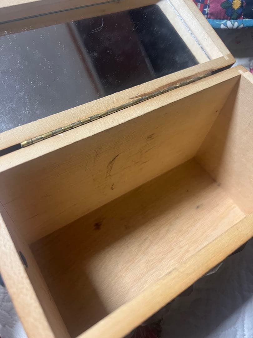 エニッドコリンズ✴︎猫木箱kit