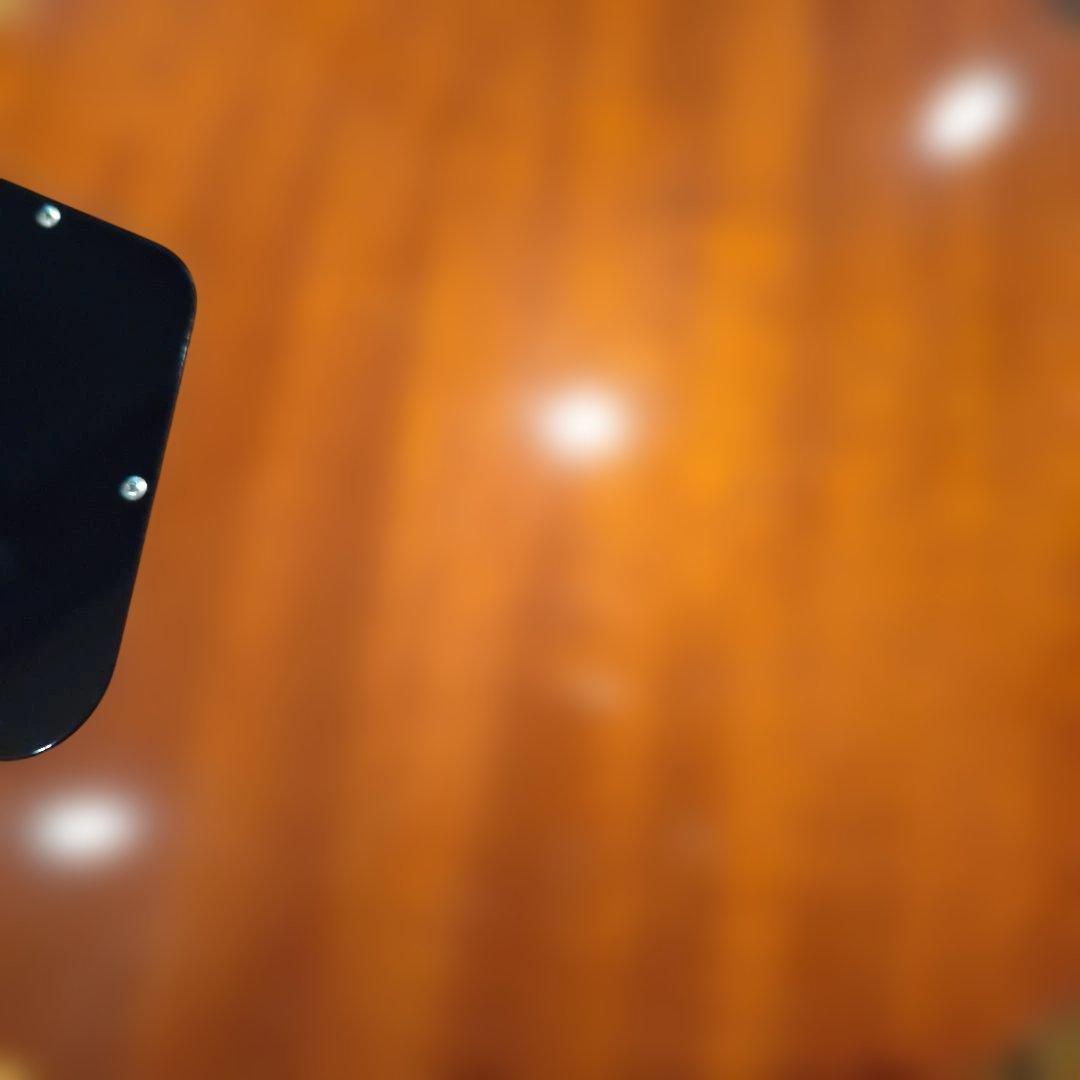 ✨️ショップ オーダー Tokai Lespaul ラッカー レモン トーカイ