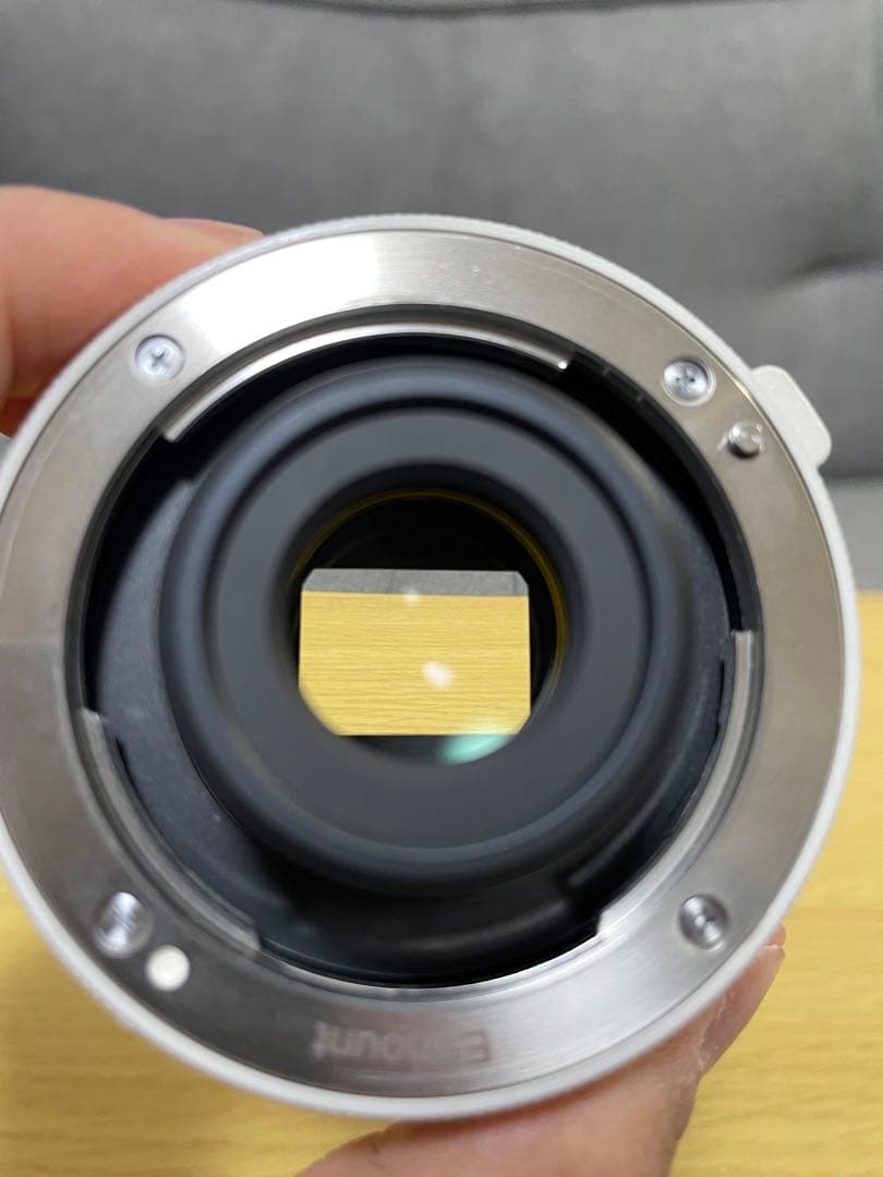 【極美品】SONY SEL20TC 2X テレコンバーター