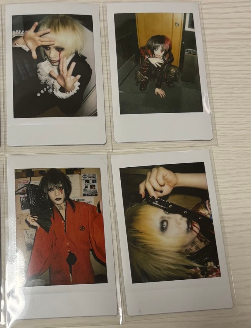 ①黒百合と影 烏名鳴 メメント・モリ 哀 チェキ 10枚セット