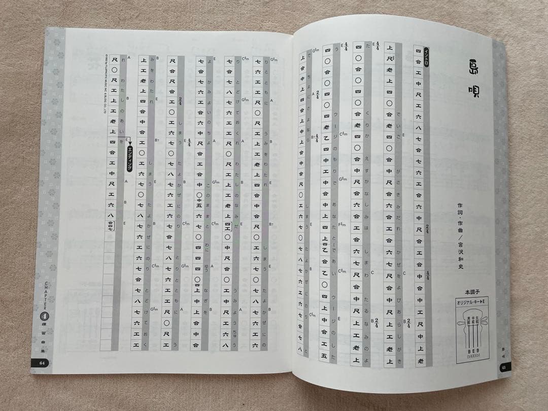 新品未使用　三線　ケース付き　付属品　三線本