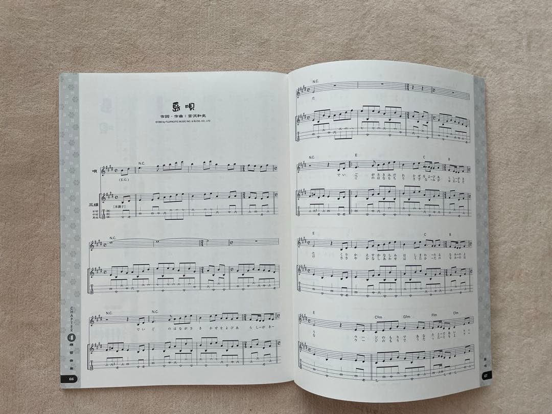 新品未使用　三線　ケース付き　付属品　三線本