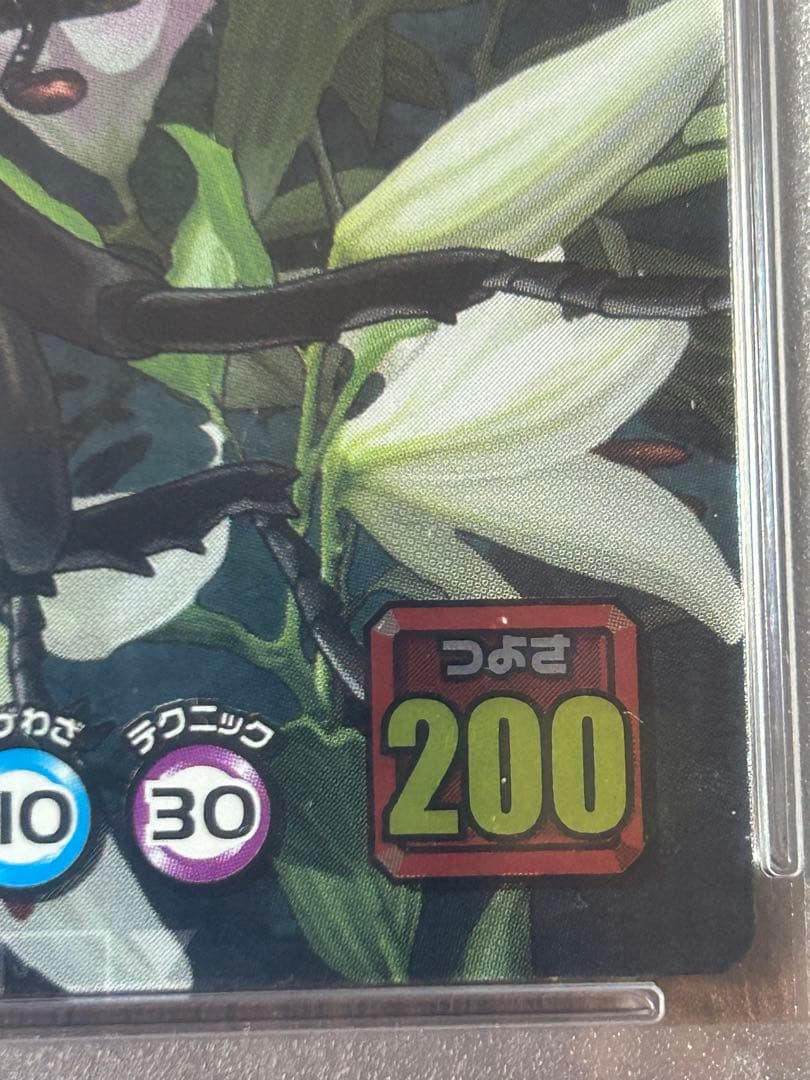 ぷ*す様 【PSA8】　ヘラクレスリッキーブルー　ムシキング　5周年